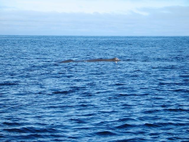 Urlaub in Norwegen 2006